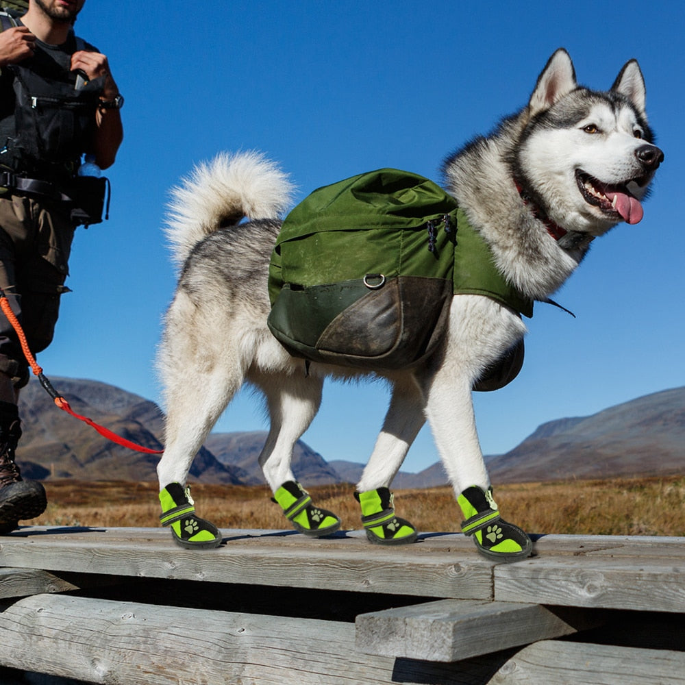 AdventurePaws Outdoor Dog Shoes