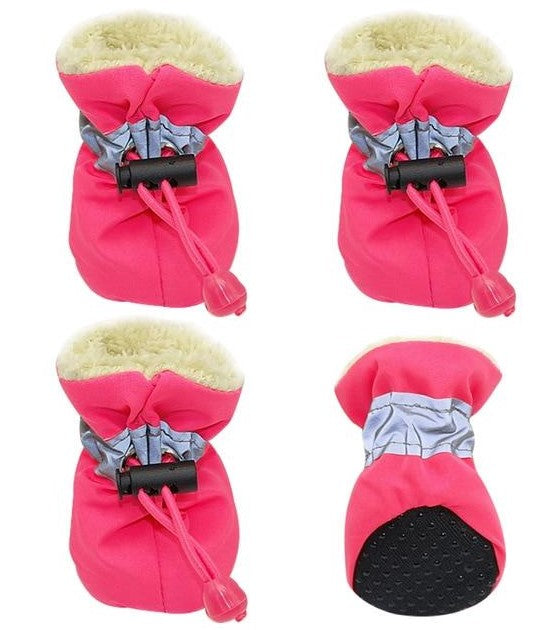 Paws in Style Pet Shoes