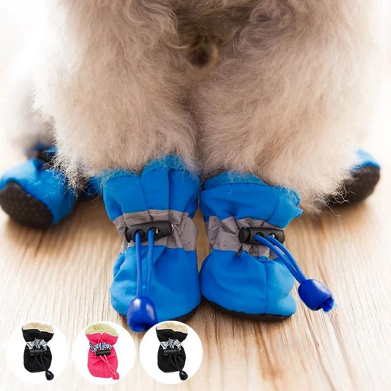 SnugglePaws Cozy Trail Trekkers