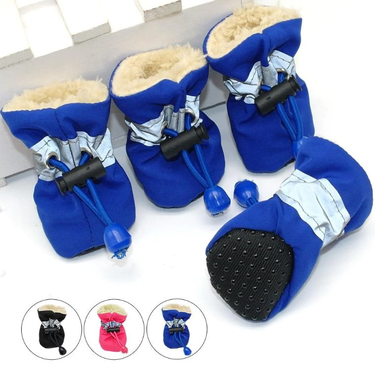 Paws in Style Pet Shoes